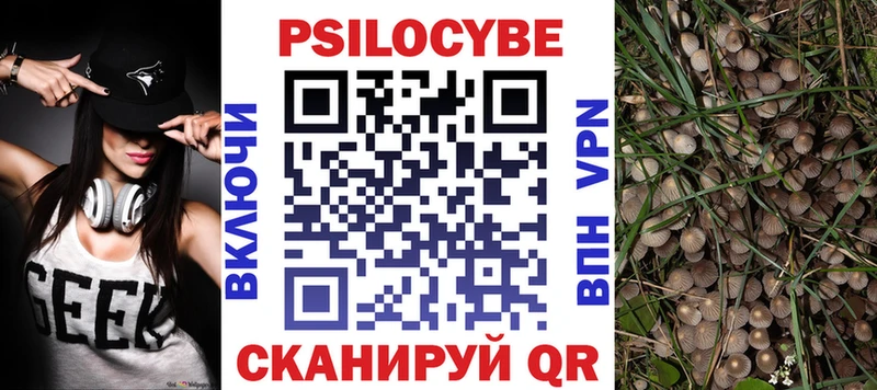 Псилоцибиновые грибы MAGIC MUSHROOMS  Глазов 