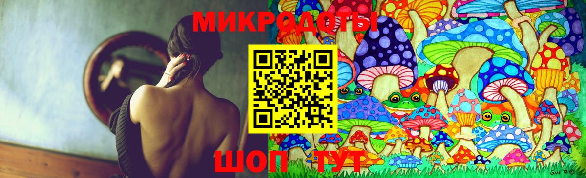 Галлюциногенные грибы Psilocybe Глазов
